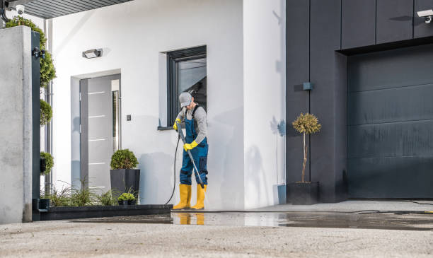 Best Roof Washing  in Rochester, IL